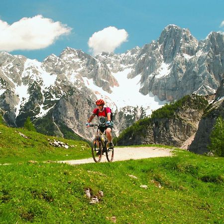 Apartma Gaja Kranjska Gora Esterno foto