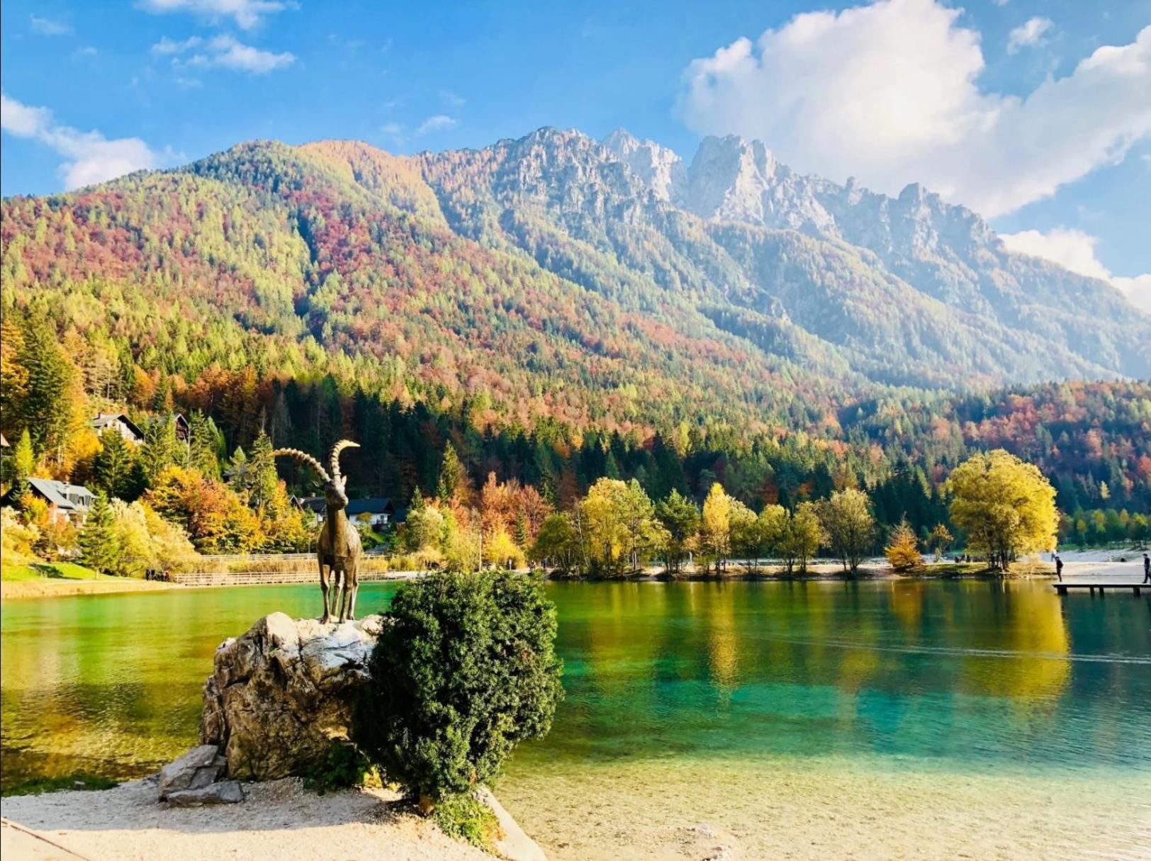 Apartma Gaja Kranjska Gora Esterno foto