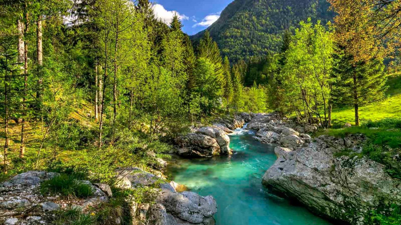 Apartma Gaja Kranjska Gora Esterno foto